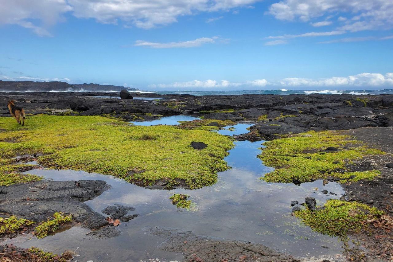 The Aloha Green House Retreat With Ocean Views! Naalehu Exterior foto