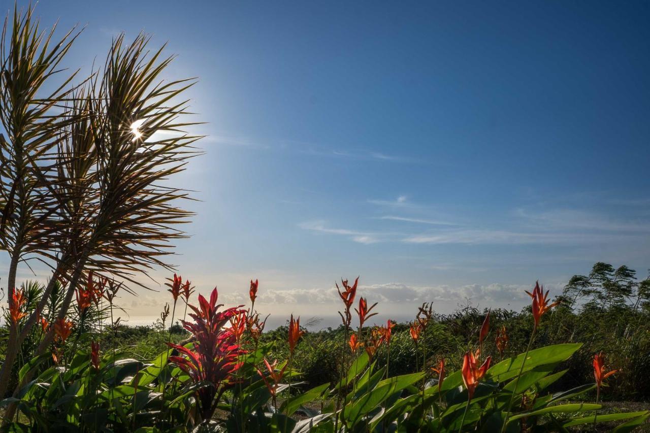 The Aloha Green House Retreat With Ocean Views! Naalehu Exterior foto